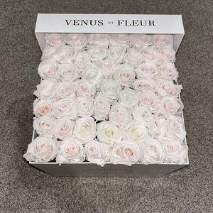Venus et Fleur ~ Large Square Eternity Roses